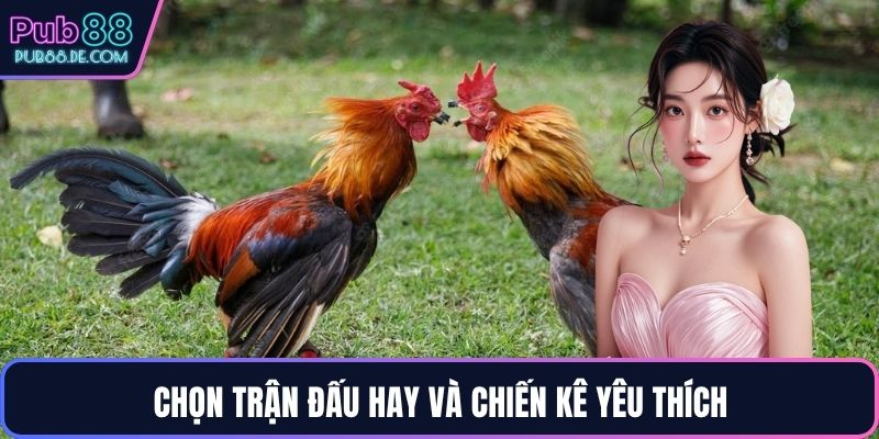 Chọn trận đấu hay và chiến kê yêu thích