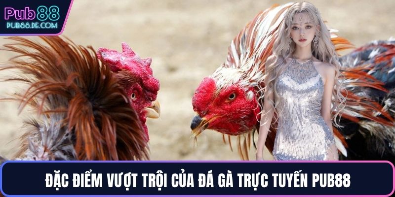 Đặc điểm vượt trội của đá gà trực tuyến PUB88