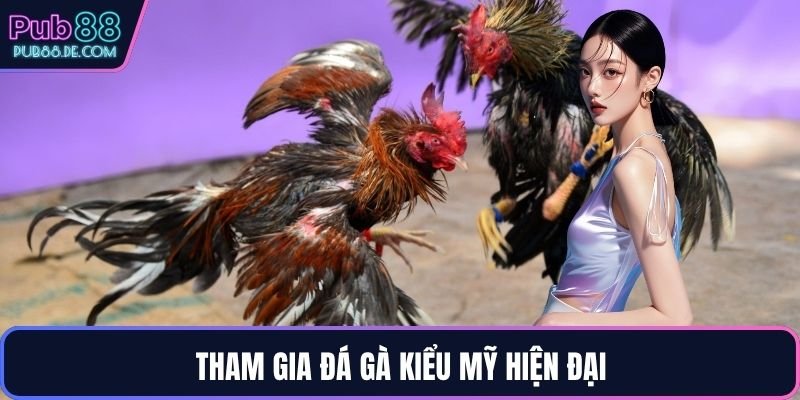 Tham gia đá gà kiểu Mỹ hiện đại